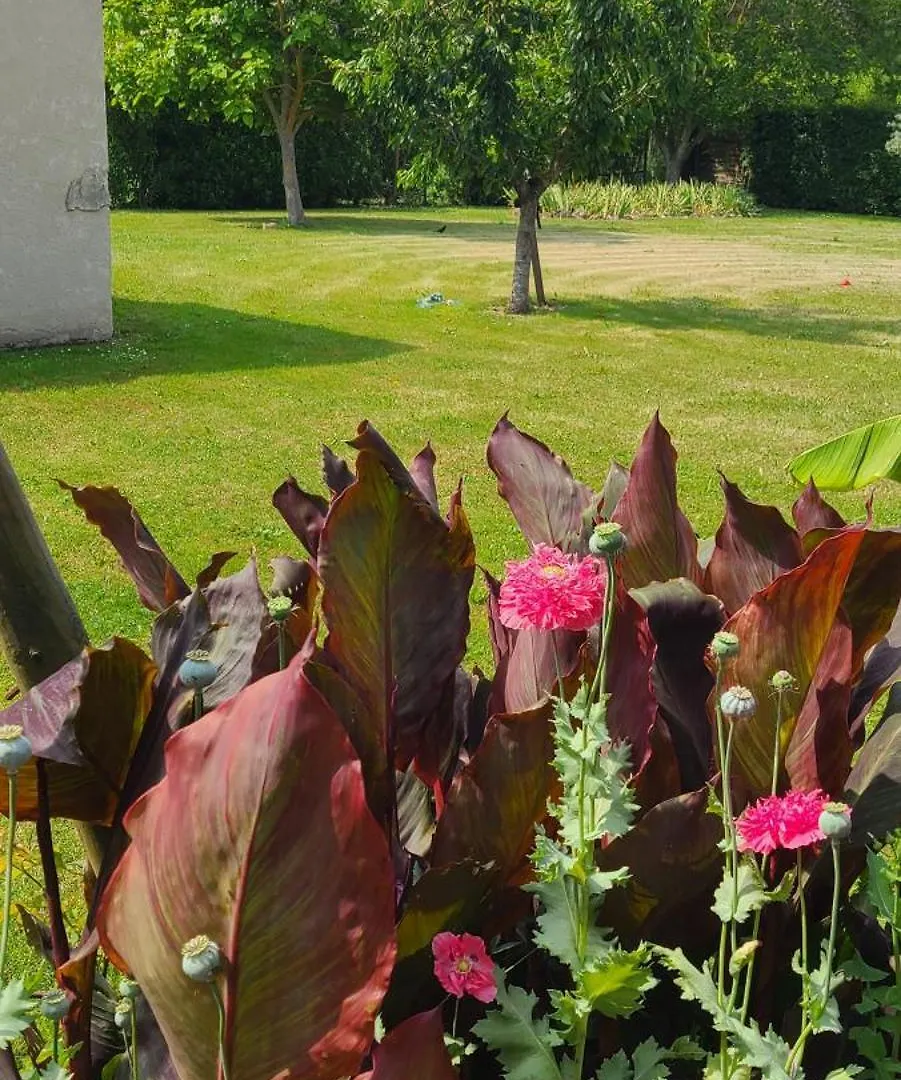 Gîte Les FERRAGES Noves Hébergement de vacances